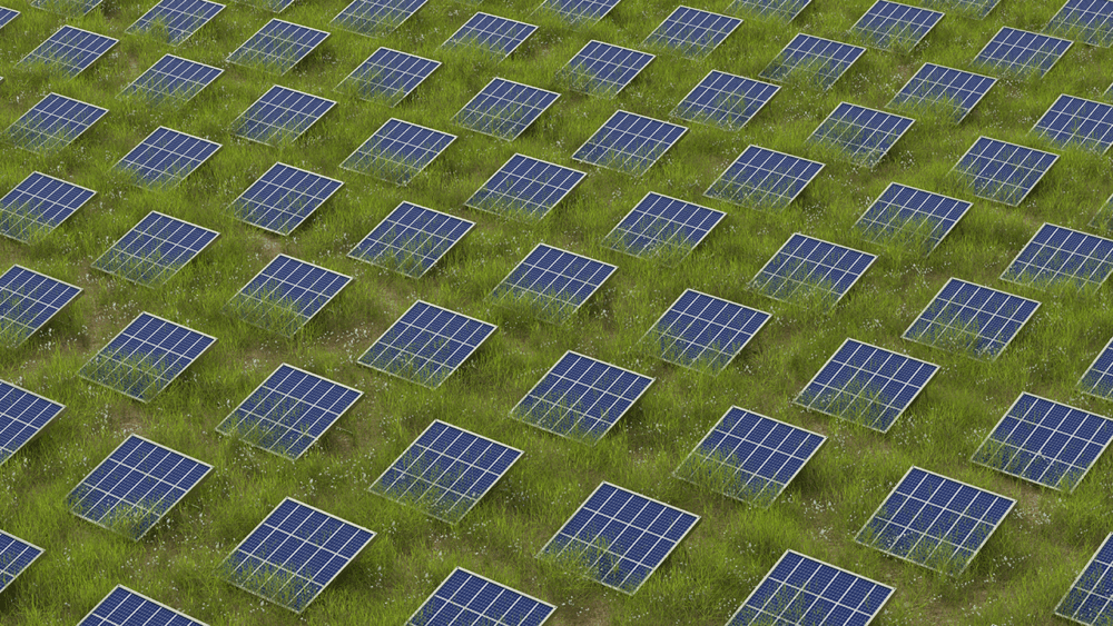 Rows of solar panels are arranged on green grass in a solar farm, capturing sunlight to generate renewable energy.